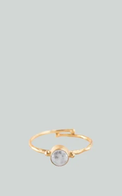 A Beautiful Story - Neutraal Ring