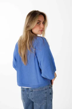 Absolut Cashmere - Blauw Trui