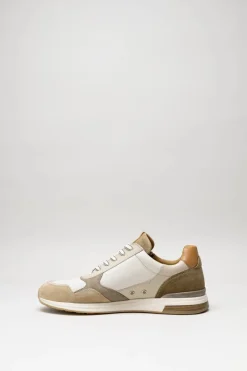Ambitious - Beige Sneaker