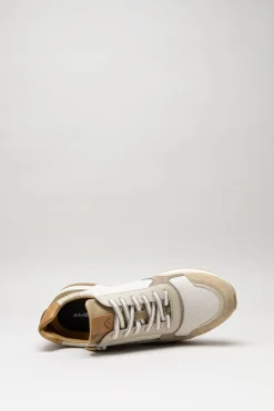 Ambitious - Beige Sneaker