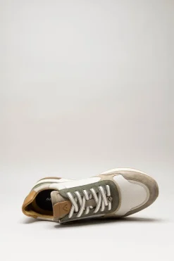 Ambitious - Beige Sneaker