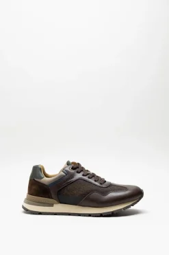 Ambitious - Bruin Sneaker