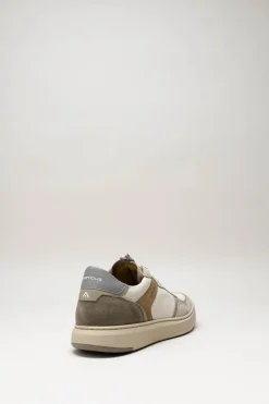 Ambitious - Taupe Sneaker