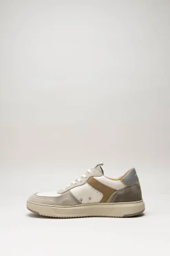 Ambitious - Taupe Sneaker