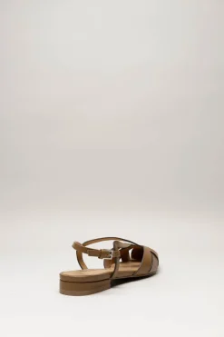 Bibi Lou - Bruin Ballerina