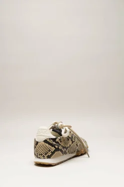 Boax Studio - Greige Sneaker