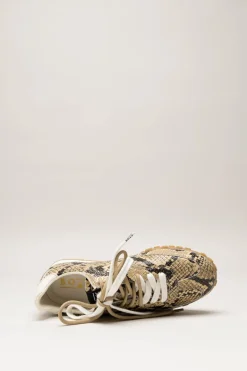 Boax Studio - Greige Sneaker