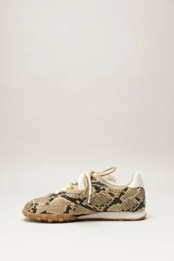 Boax Studio - Greige Sneaker