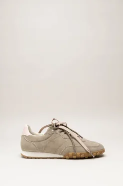 Boax Studio - Taupe Sneaker