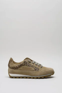 Candice Cooper - Beige Sneaker
