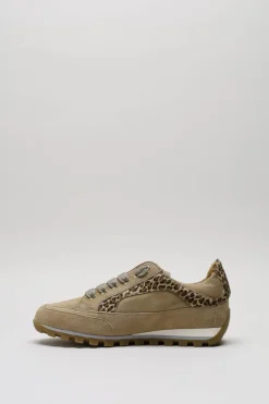 Candice Cooper - Beige Sneaker