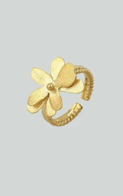 Christine Bekaert - Goud Ring
