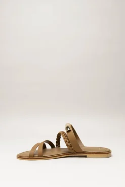 Corridoni - Bruin Slipper
