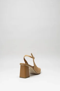 Ctwlk - Camel Pump