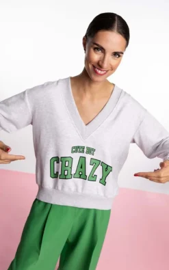 Dame Blanche - Grijs Sweater