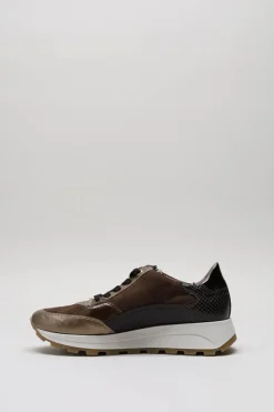 Dl Sport - Bruin Sneaker