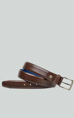 Floris Van Bommel - Bruin Riem