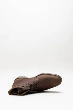 Floris Van Bommel - Cognac Veterbottine