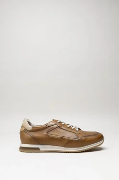 Fluchos - Cognac Sneaker