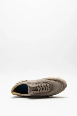 Giorgio - Taupe Sneaker