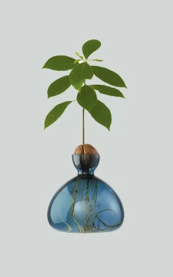 Ilex Studio - Blauw Woonaccessoires
