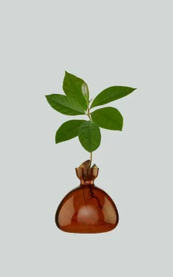 Ilex Studio - Bruin Woonaccessoires