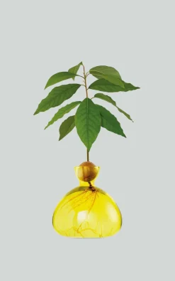 Ilex Studio - Geel Woonaccessoires