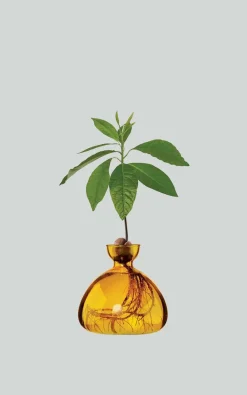 Ilex Studio - Geel Woonaccessoires