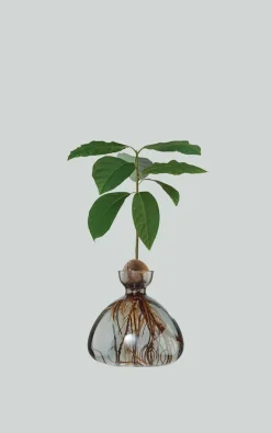 Ilex Studio - Grijs Woonaccessoires