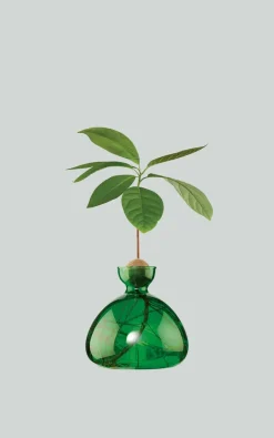 Ilex Studio - Groen Woonaccessoires