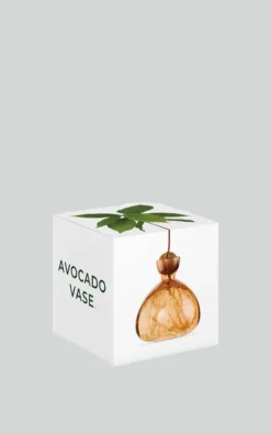 Ilex Studio - Oranje Woonaccessoires