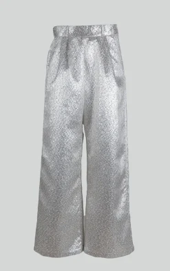 Katerin Theys - Zilver Broek