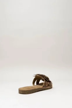 Lazamani - Bruin Slipper
