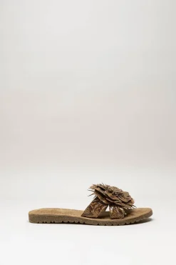 Lazamani - Bruin Slipper