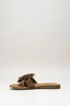 Lazamani - Bruin Slipper