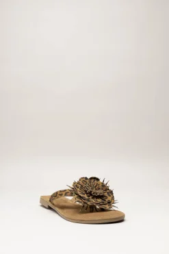 Lazamani - Bruin Slipper