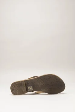 Lazamani - Bruin Slipper