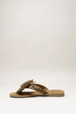 Lazamani - Bruin Slipper