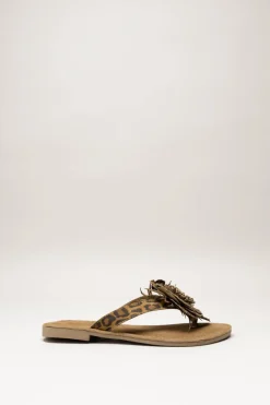 Lazamani - Bruin Slipper