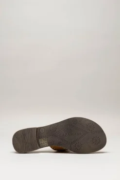 Lazamani - Bruin Slipper