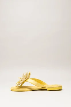 Lazamani - Geel Slipper