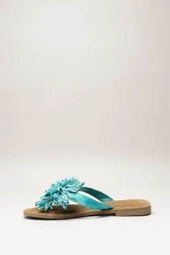 Lazamani - Turquoise Slipper