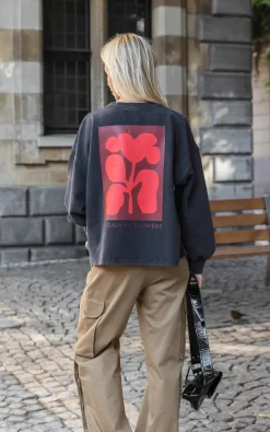 Ln Knits - Grijs Sweater