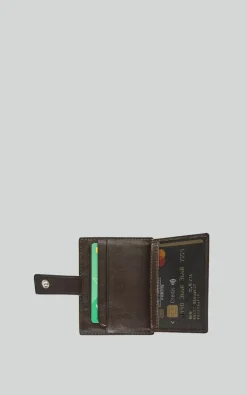 Maverick - Bruin Card protector