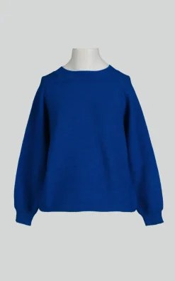 Max Mara Weekend - Blauw Trui