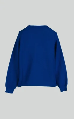 Max Mara Weekend - Blauw Trui