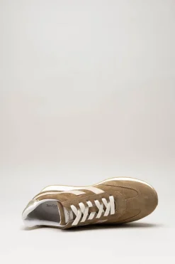 Nero Giardini - Bruin Sneaker
