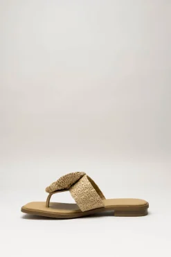 Noa Harmon - Donkerbeige Slipper