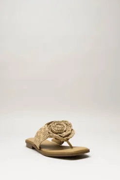 Noa Harmon - Donkerbeige Slipper