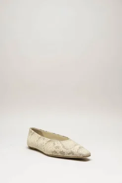 Odare - Greige Ballerina